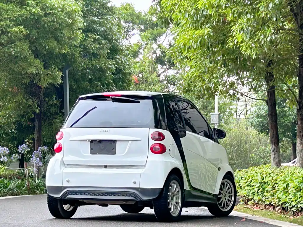 smart fortwo 1.0 MHD New Year Special Edition