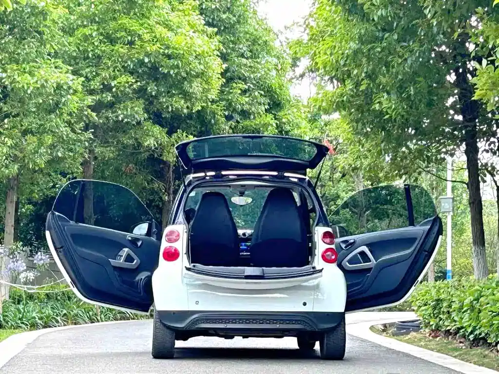 smart fortwo 1.0 MHD New Year Special Edition