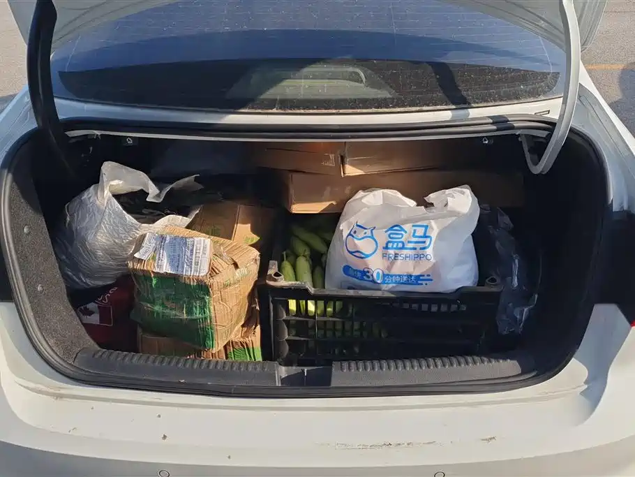 Sagitar 1.6 L Auto Comfort