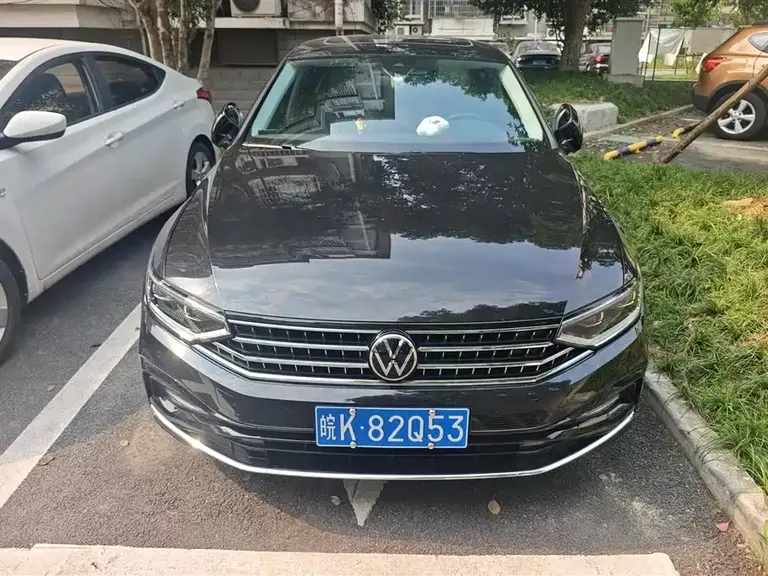 Volkswagen Magotan 200 10 K Public Enjoyment 330 TSI DSG Luxury