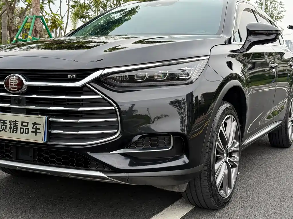 Tang 2.0 T Auto Connected Honored 7-seat CN-V