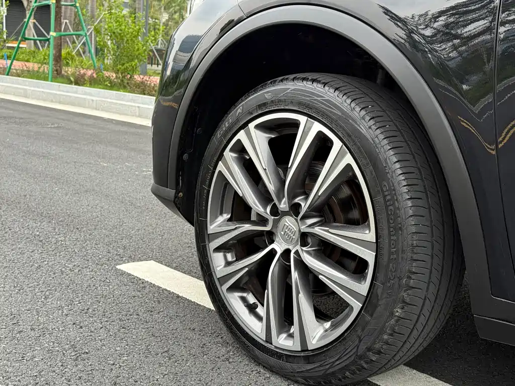 Tang 2.0 T Auto Connected Honored 7-seat CN-V
