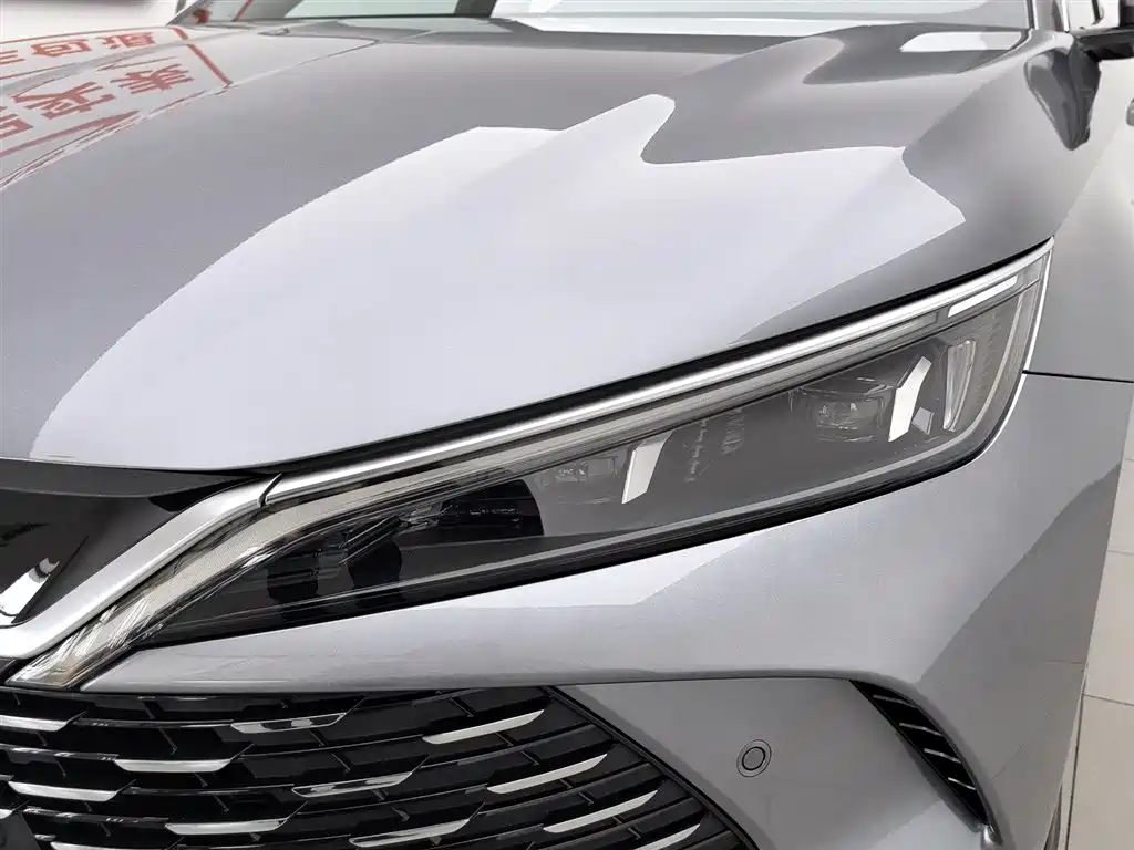 Qin L DM-i Smart Drive 80 KM Leading