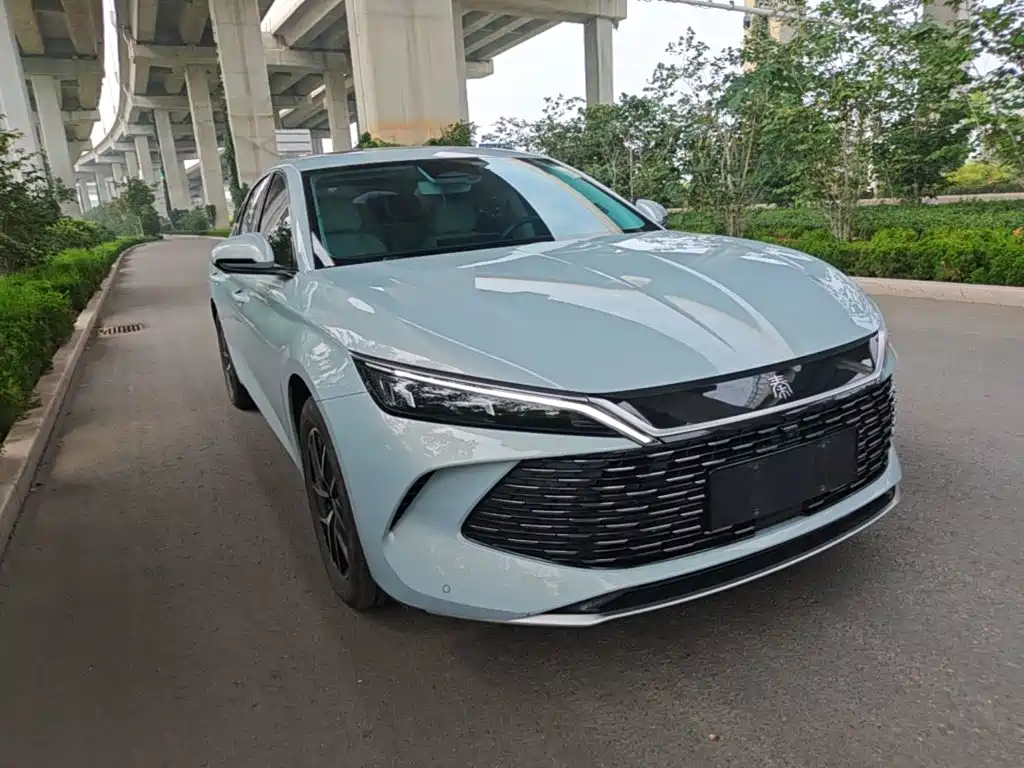 Qin L DM-i 120 KM Transcend
