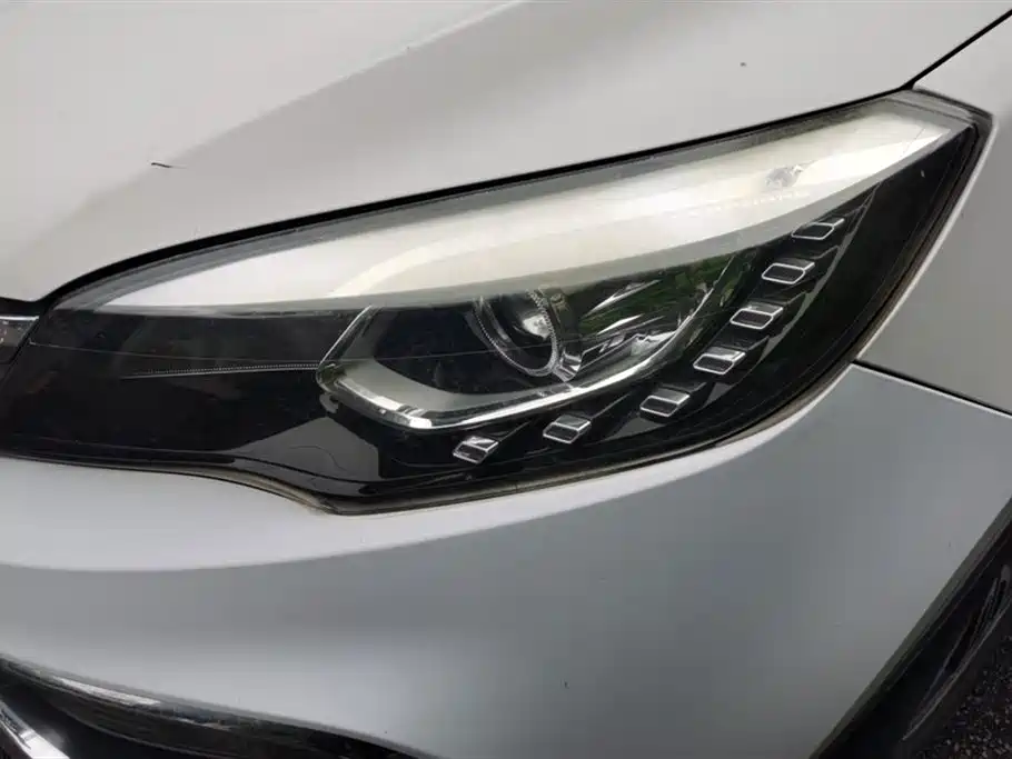 Leopaard CS10 2.0 T Auto Luxury