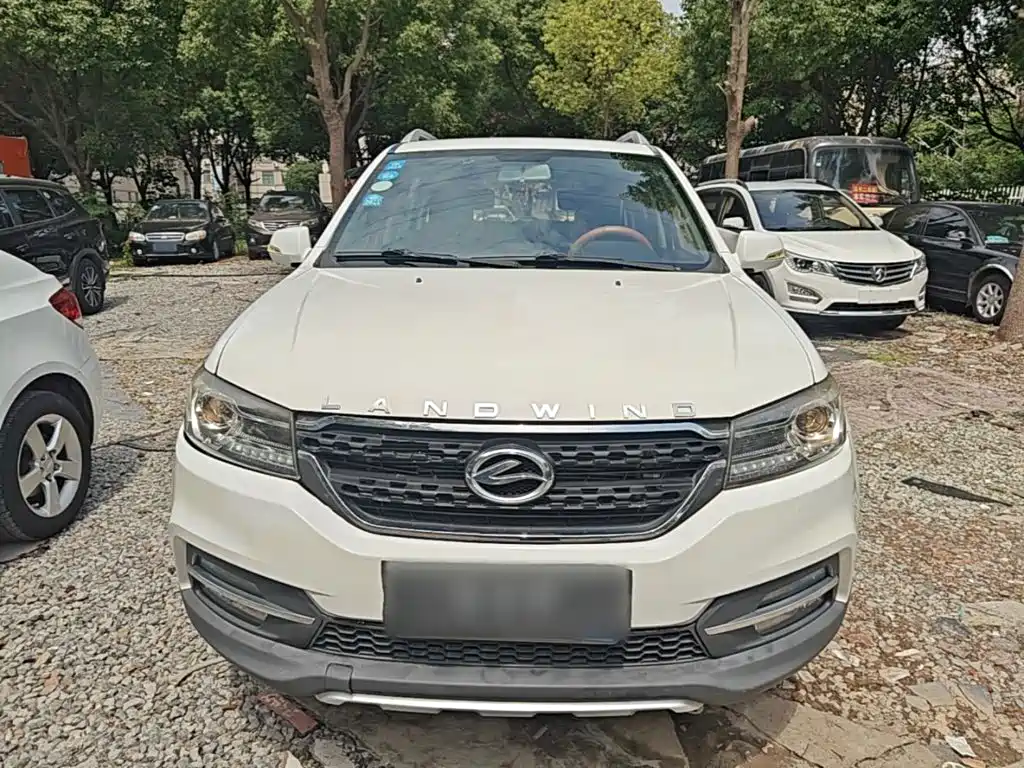 Landwind X8 2.0 T Gasoline 4 X2 Luxury