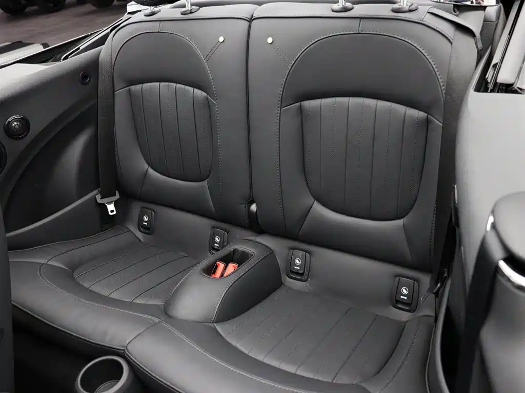 MINI MINI 2023款 改款二 2.0 T COOPER S CABRIO 艺术家