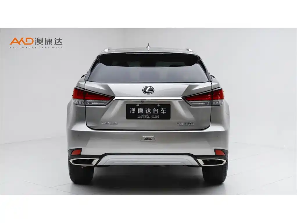 Lexus RX 300 4 WD Elegant CN-VI