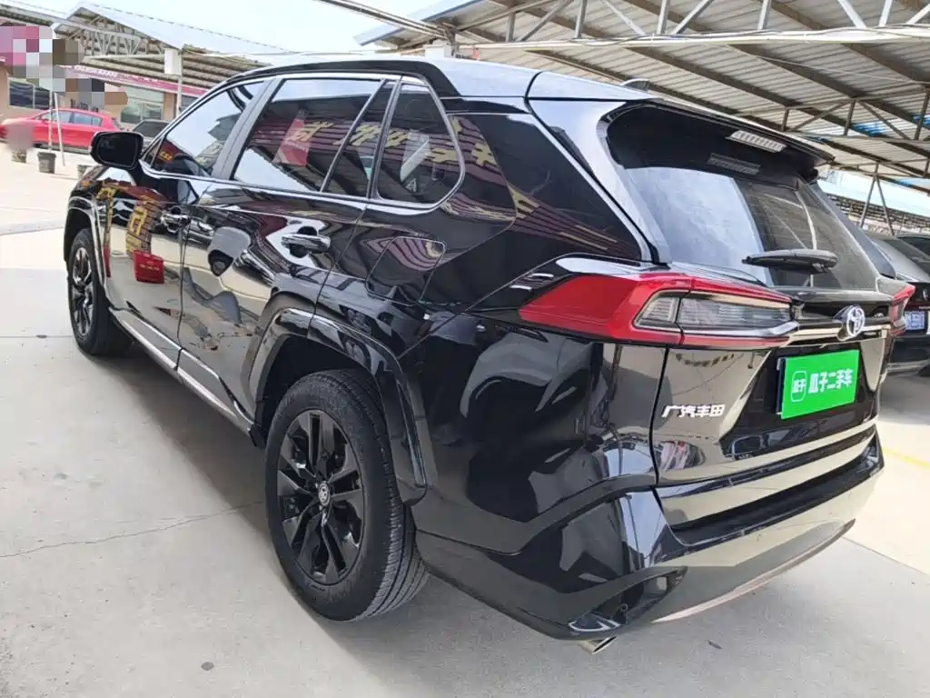 Wildlander 2.0 L CVT 2 WD Knight