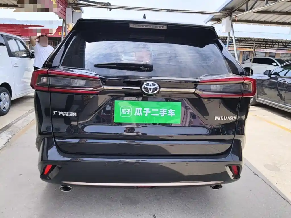 Wildlander 2.0 L CVT 2 WD Knight