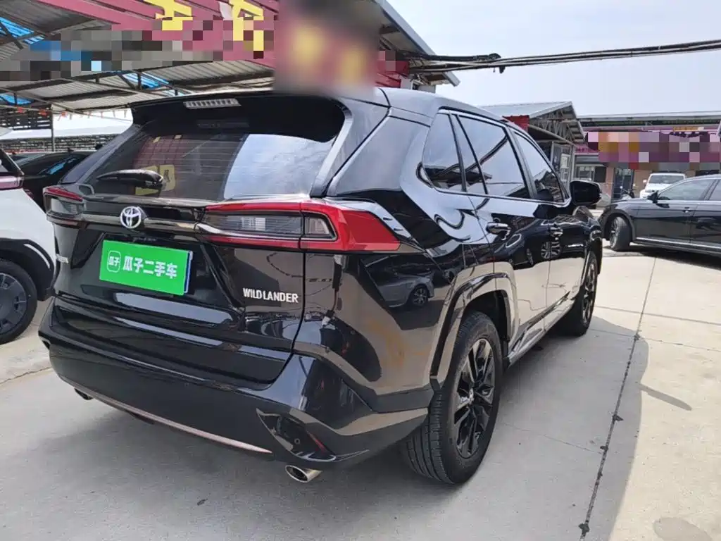 Wildlander 2.0 L CVT 2 WD Knight