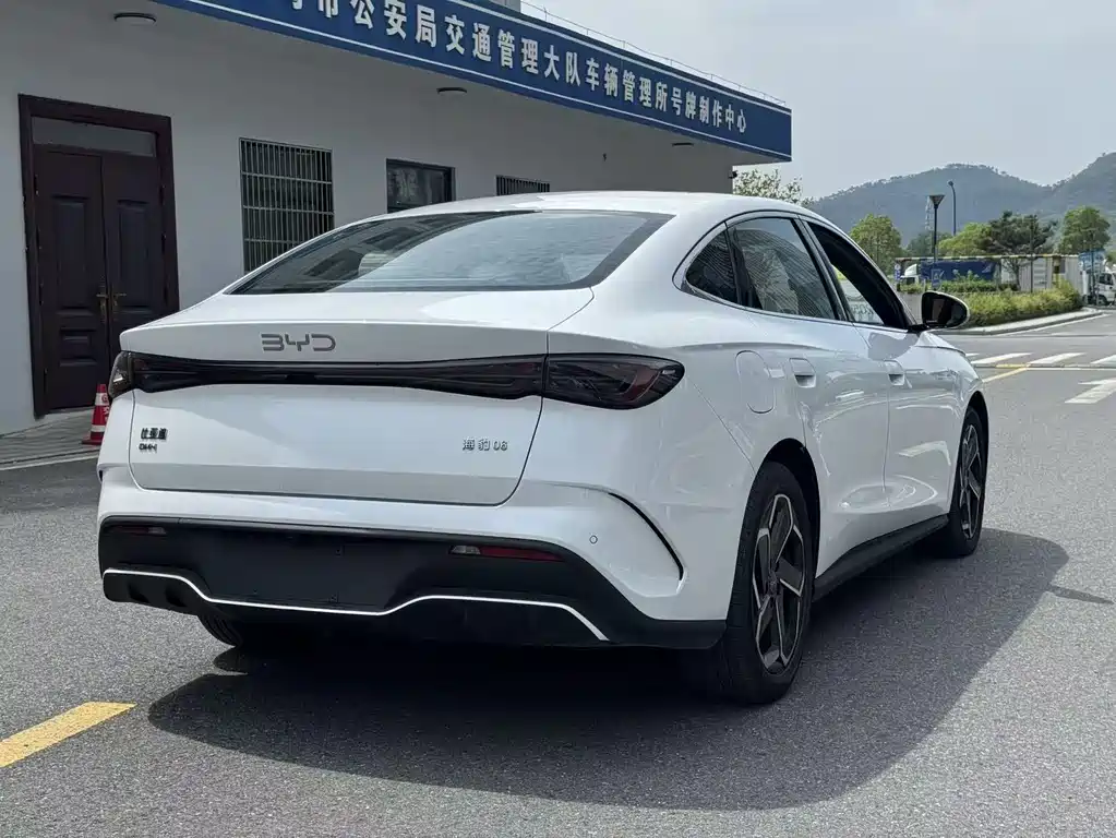 Seal 06 DM-i 120 KM Flagship