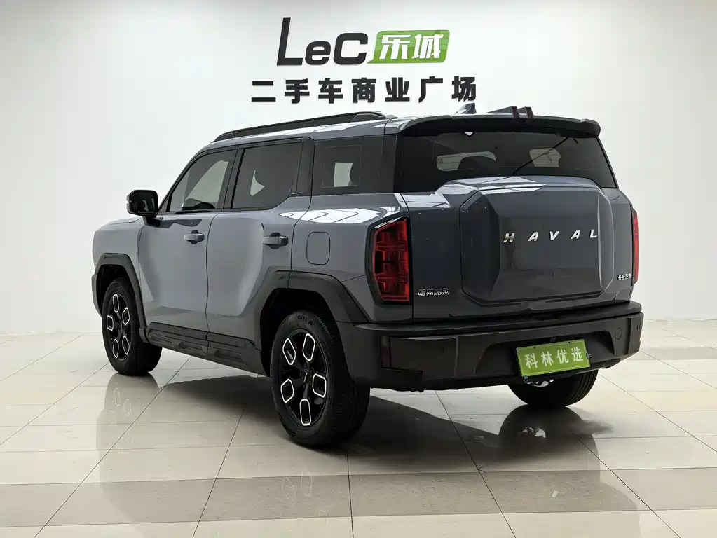 Haval Cool Dog 1.5 T DCT 4 WD Trend Wild
