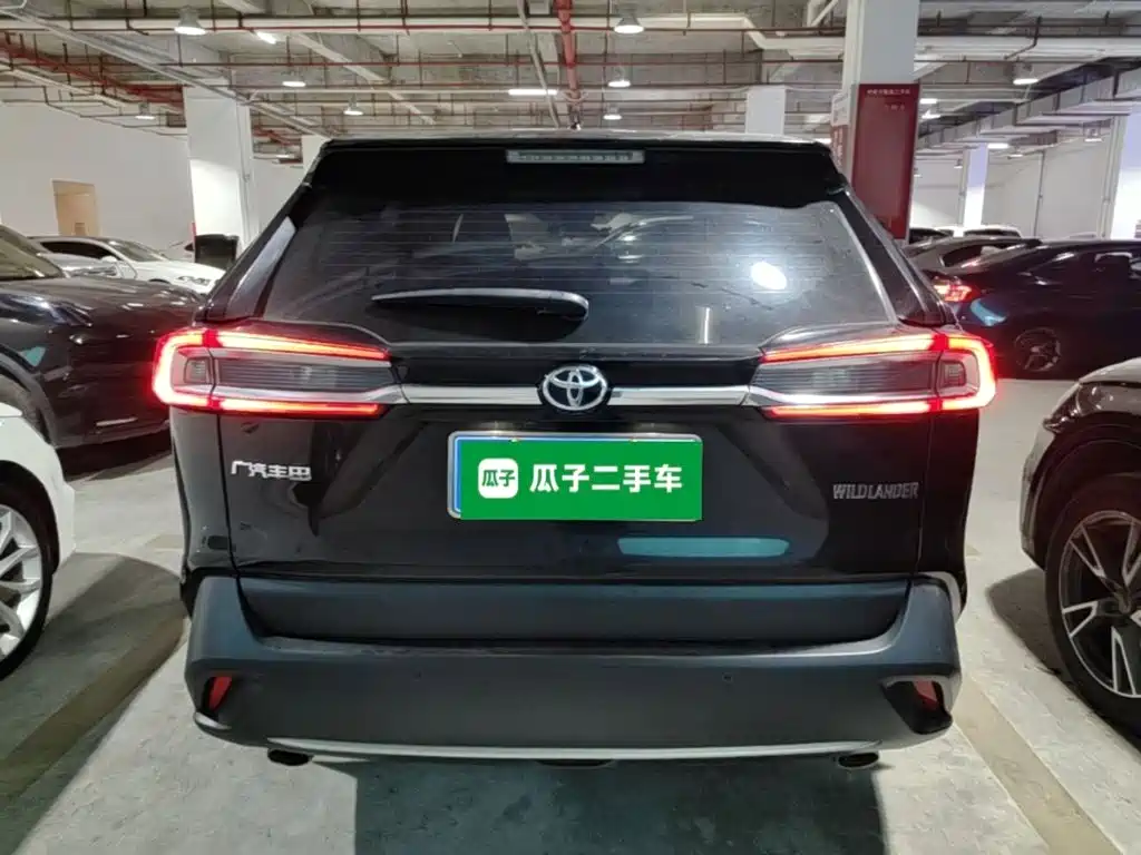 Wildlander 2.0 L CVT 2 WD Luxury