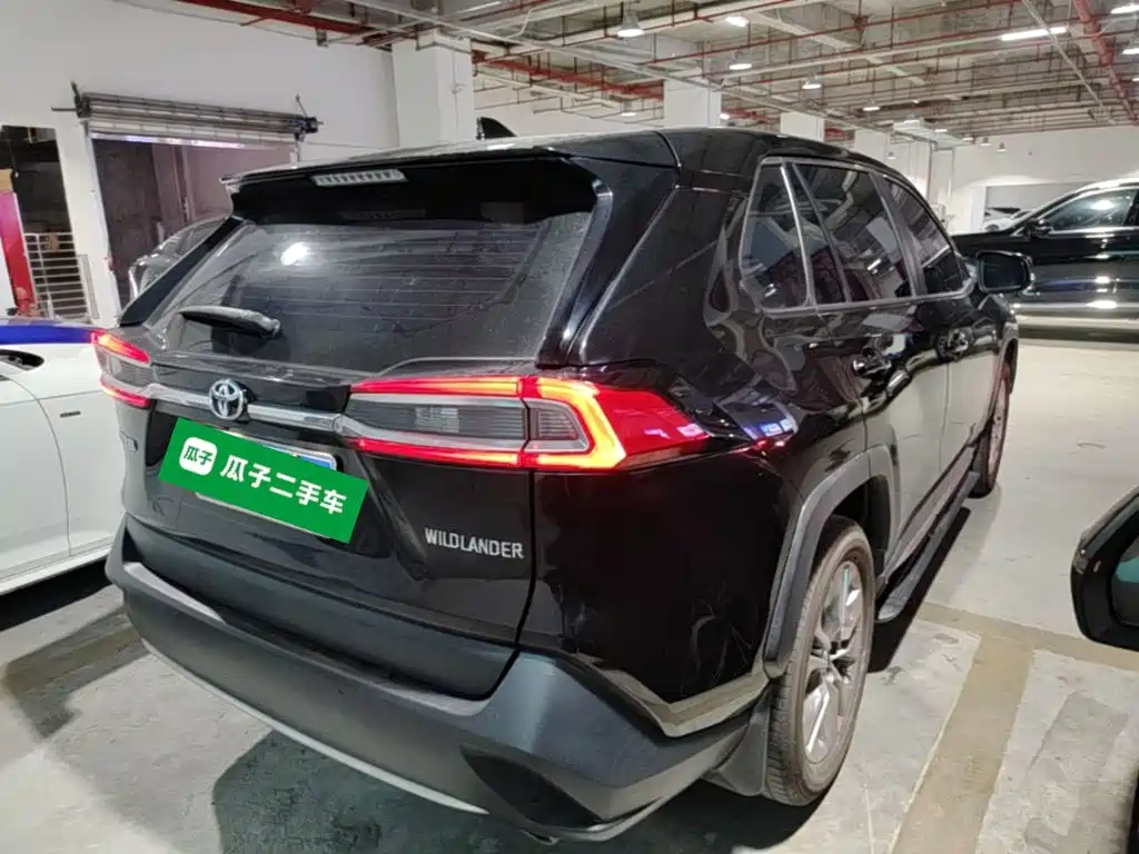 Wildlander 2.0 L CVT 2 WD Luxury
