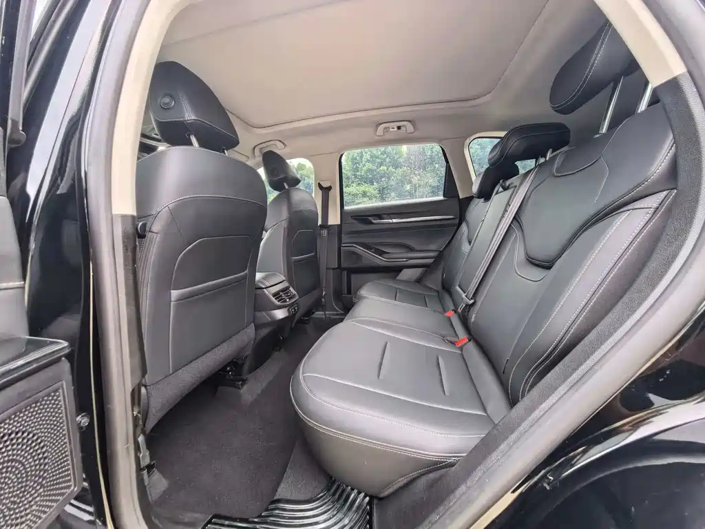 Haval H6 3 rd Gen 1.5 T Auto 2 WD Max