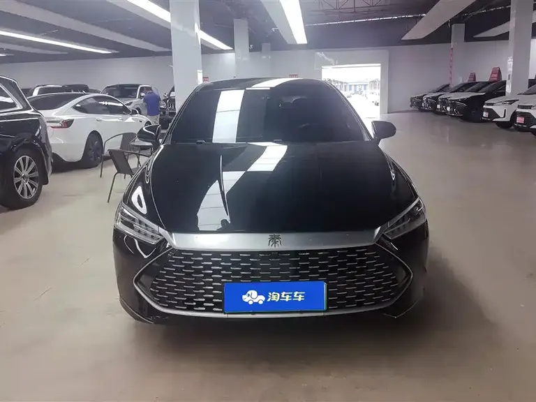 BYD Qin PLUS Champion DM-i 55 KM Leading