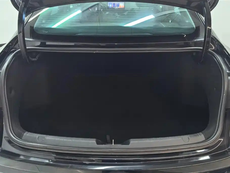 Xingrui 2.0 TD Luxury