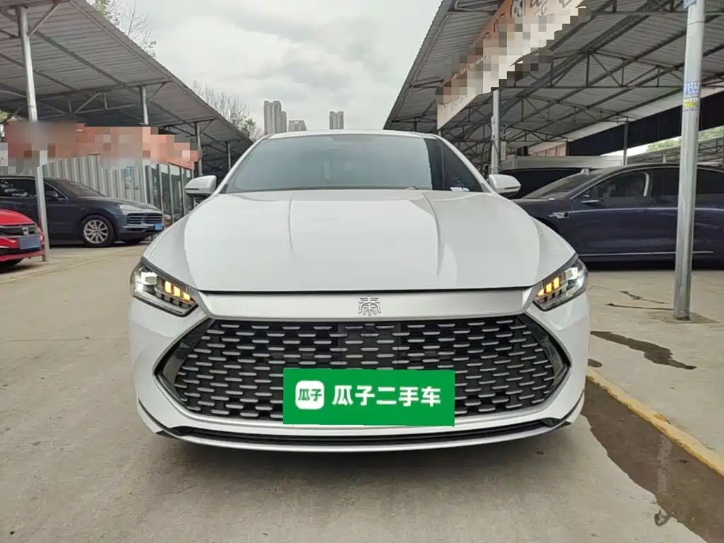 Qin PLUS Champion DM-i 120 KM Transcend