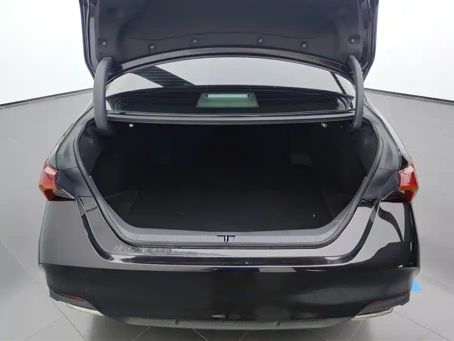 Avalon 2.0 L XLE Premium CN-VI