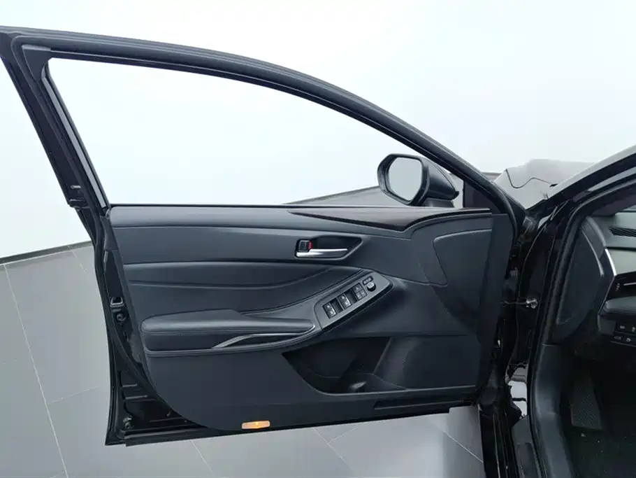 Avalon 2.0 L XLE Premium CN-VI
