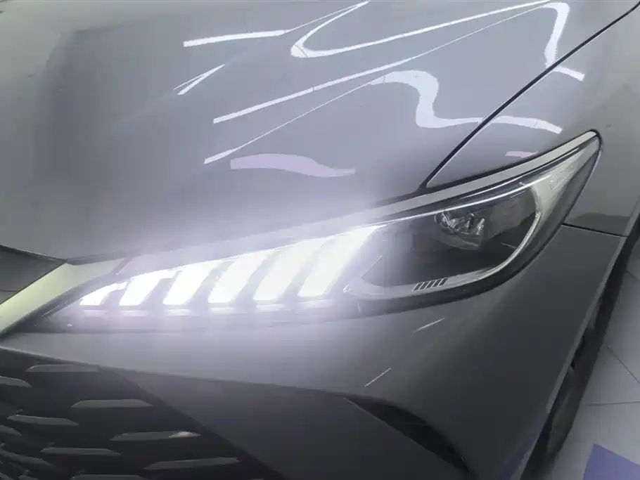 Qin PLUS DM-i Smart Drive 55 KM Leading