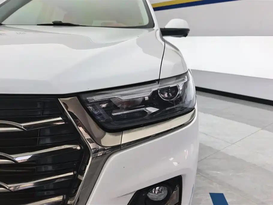 Haval H6 哈弗H6 2021款 国潮版 1.5 GDIT 自动超豪版