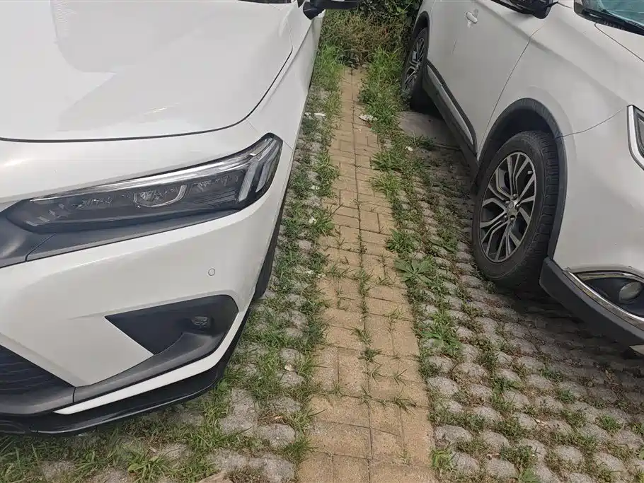 Civic 240 TURBO CVT Power Force