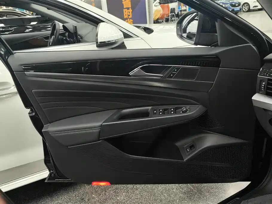 Passat 330 TSI Starry Sky Elite