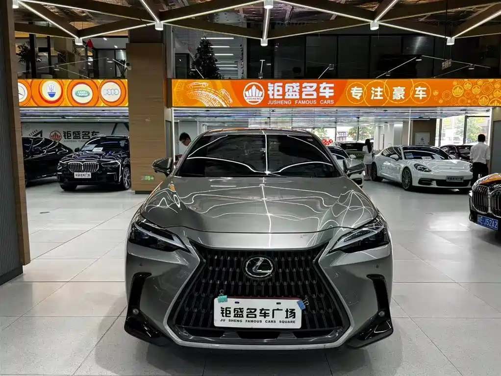 Lexus NX 雷克萨斯NX 2025款 260 前驱 特别版