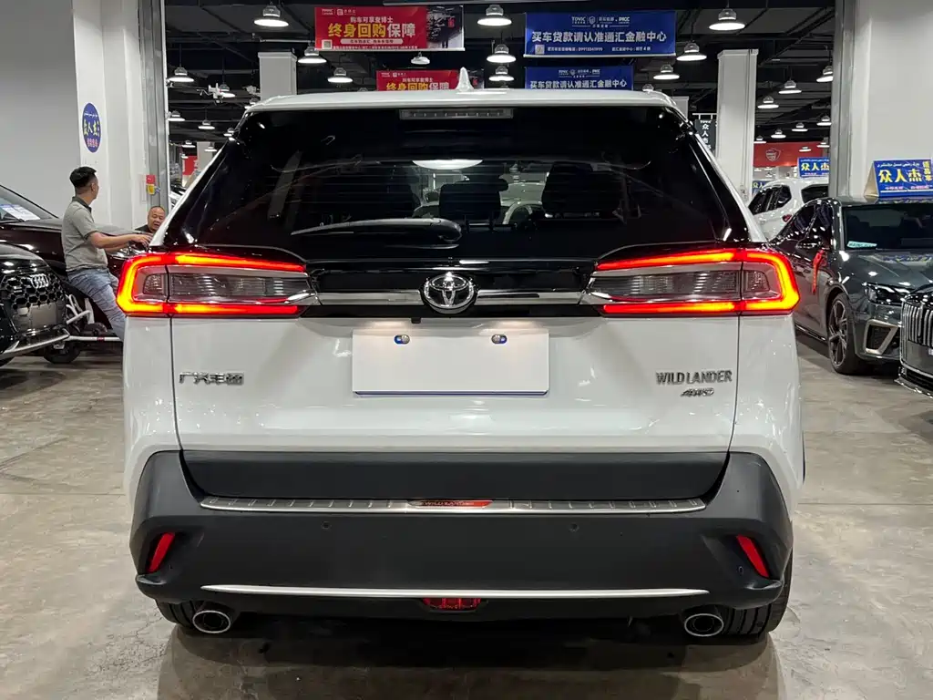 Wildlander 2.0 L CVT 4 WD Luxury