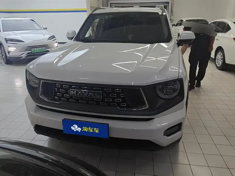 Haval Dargo PLUS 2.0 T 4 WD Trend Wild Plus