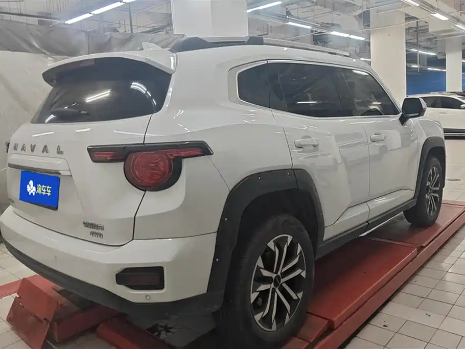 Haval Dargo PLUS 2.0 T 4 WD Trend Wild Plus