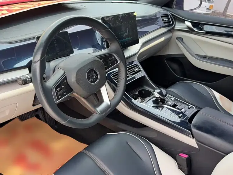 BYD Qin PLUS DM-i 55 KM Flagship