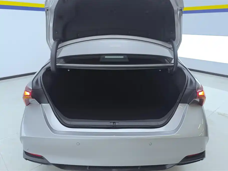 Avalon Dual Engine 2.0 L Luxury