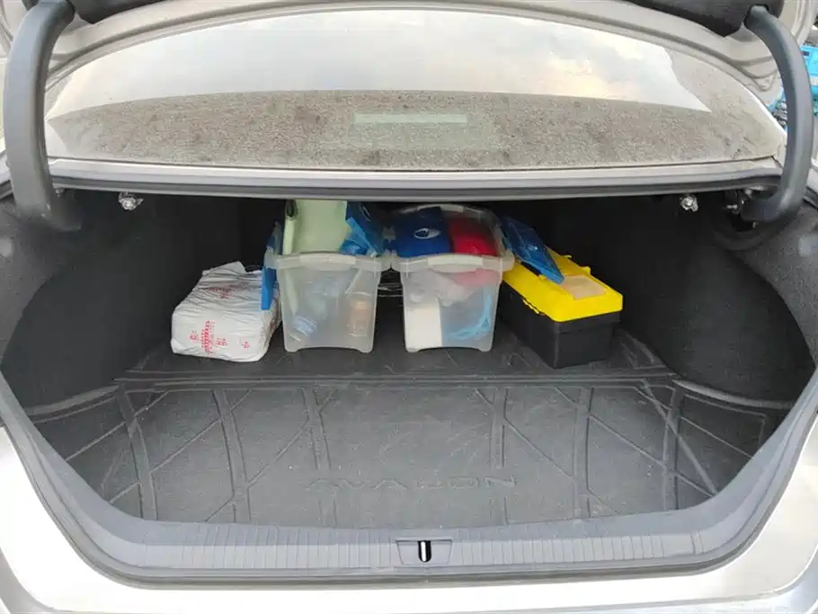 Avalon 2.0 L XLE Premium CN-VI