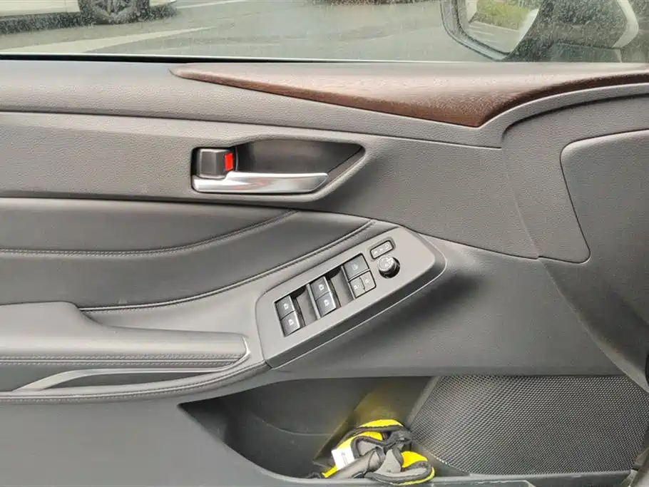 Avalon 2.0 L XLE Premium CN-VI