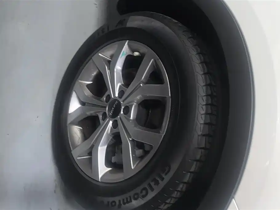 Haval H6 China Style 1.5 T Auto Champion