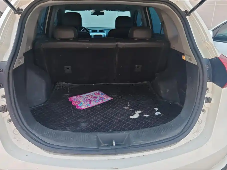 Senova X65 2.0 T Auto Elite