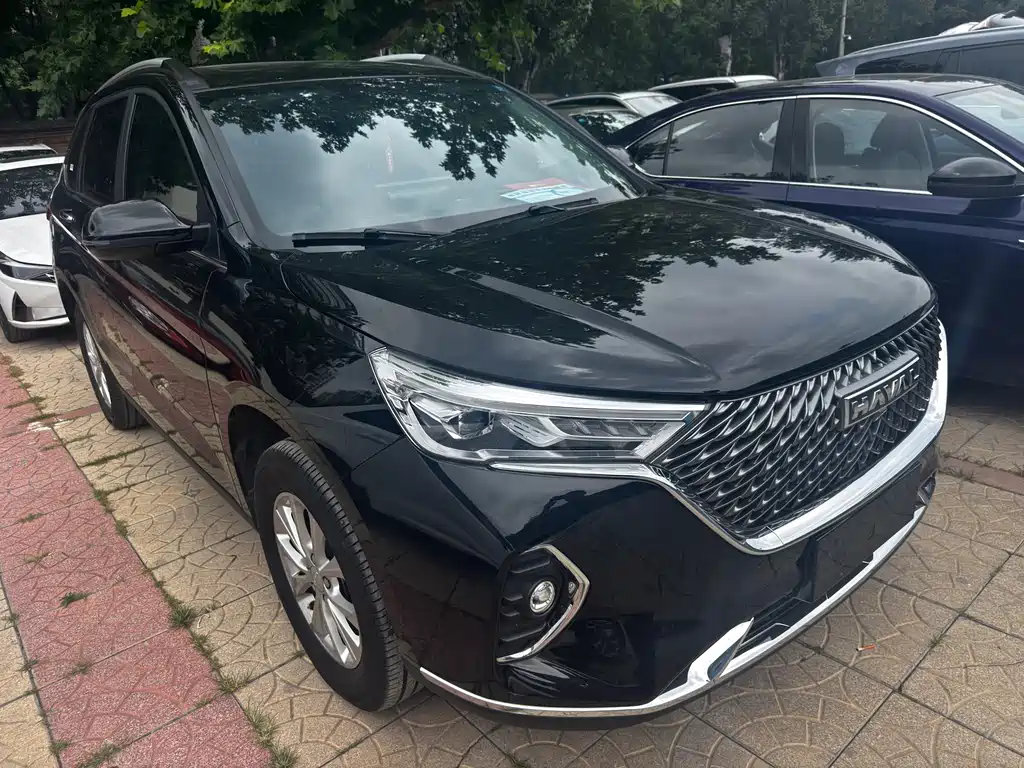 Haval M6 PLUS 1.5 T DCT Luxury Connected