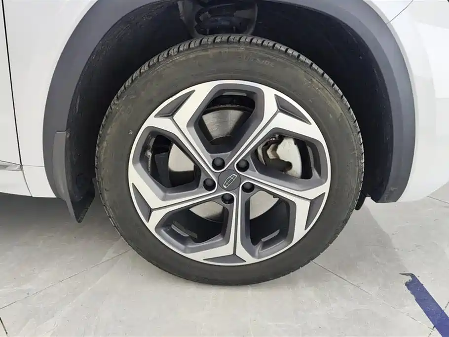 Xingyue L 2.0 TD High Power Auto 4 WD Distinguished
