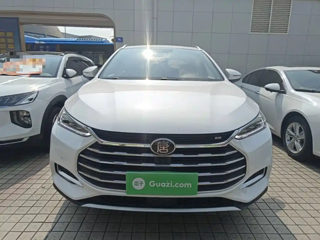 Tang 2.0 T Auto Connected Distinguished 5-seat CN-VI
