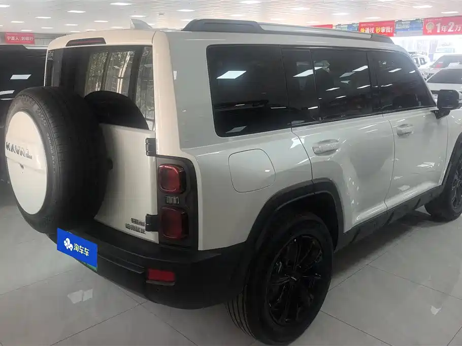 Haval Menglong NEV Hi4 102 Pro