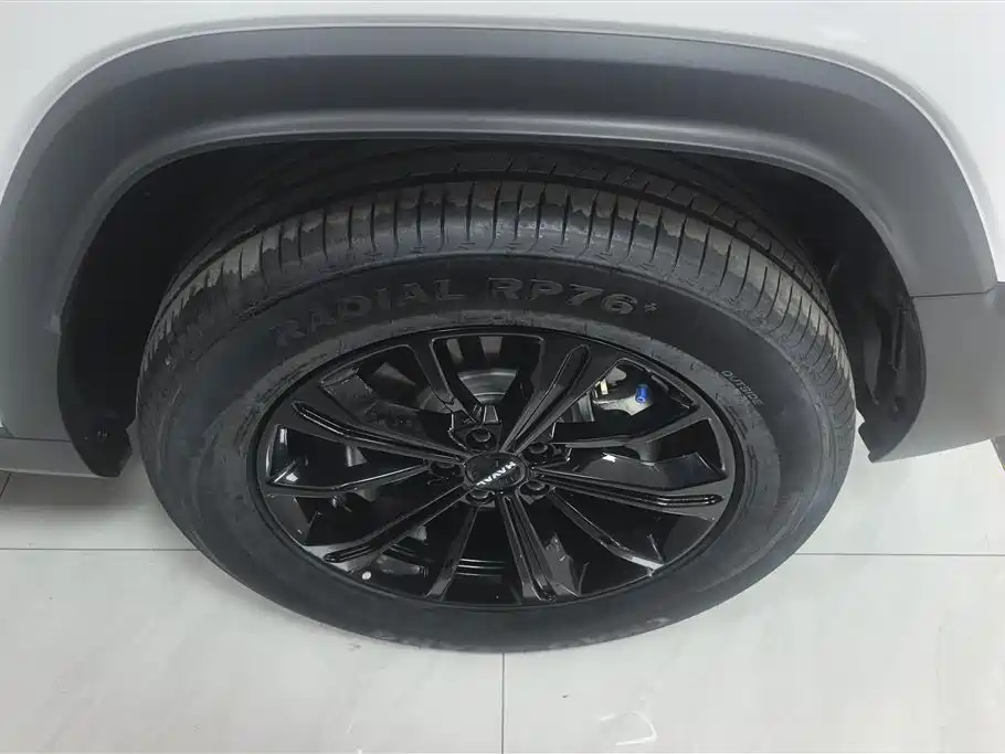 Haval Menglong NEV Hi4 102 Pro