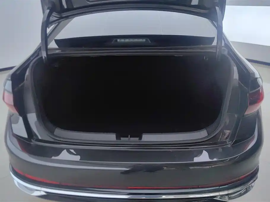 Sagitar 300 TSI DSG Transcend