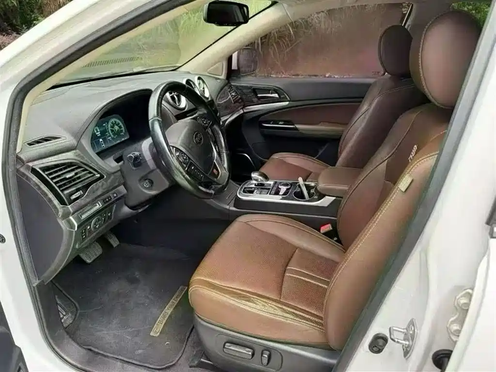 Tang NEV 2.0 T 4 WD Flagship