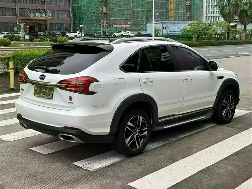 Tang NEV 2.0 T 4 WD Flagship