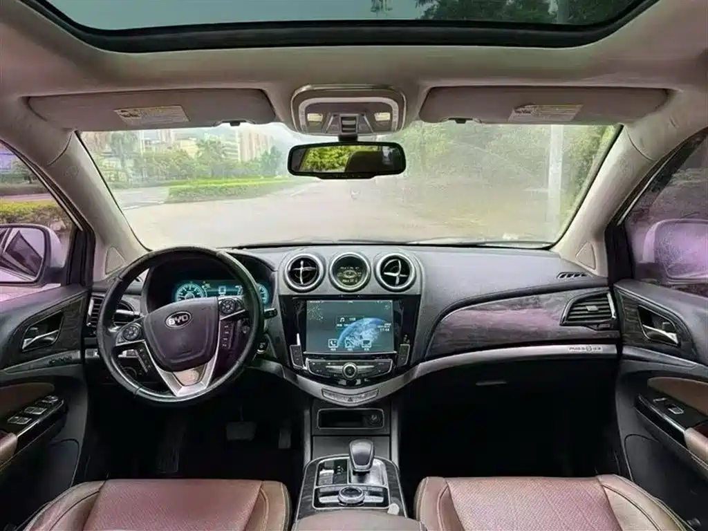 Tang NEV 2.0 T 4 WD Flagship