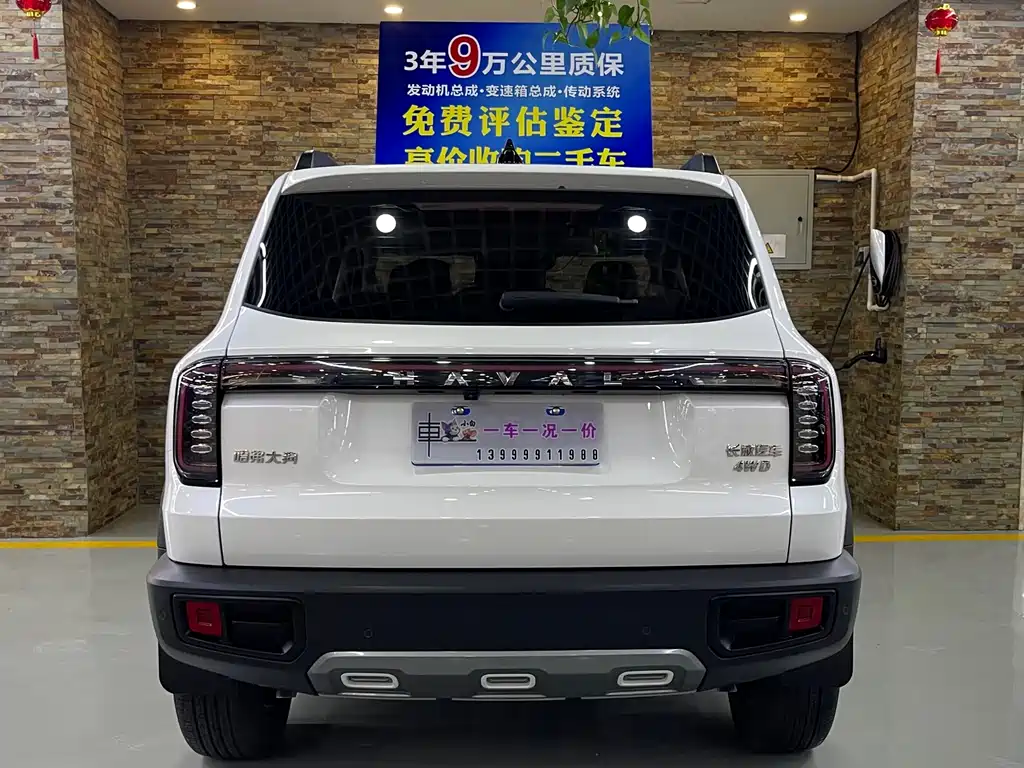 Haval Dargo 2.0 T DCT 4 WD Brilliance Country Dog