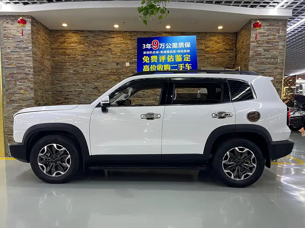 Haval Dargo 2.0 T DCT 4 WD Brilliance Country Dog